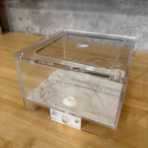 Alternative view of Trapjaw Science Outworld