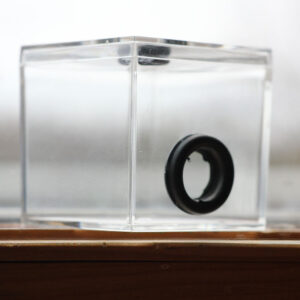 Test Tube Formicarium