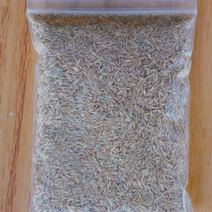 Alternative view of Harvester Ant Seed Mix (2x3'' packet)