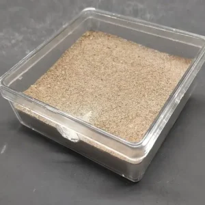 Alternative view of Formisquarium