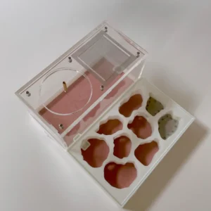 Large Honeypot Ant Nest