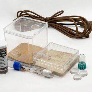 Harvester Ant Colony Kit | Includes a Queen!